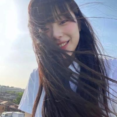 认识狗狗
